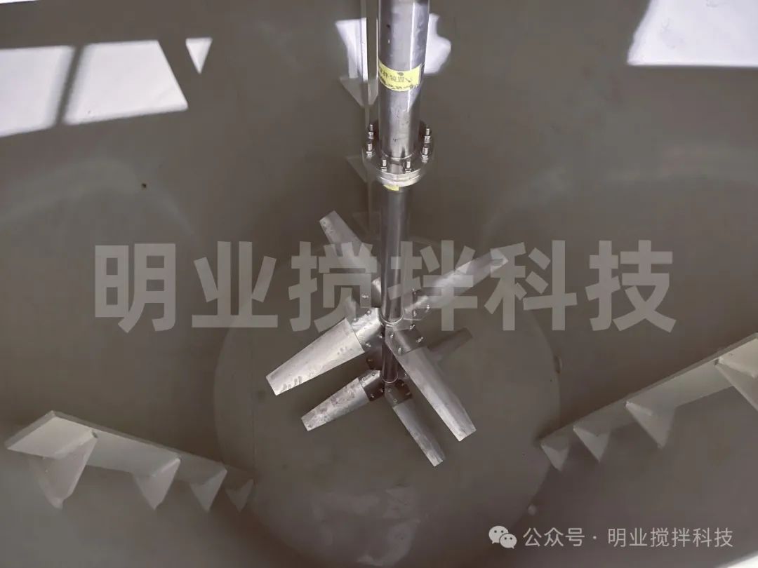 5481735869570351.jpg 微信圖片_20250103095919.jpg