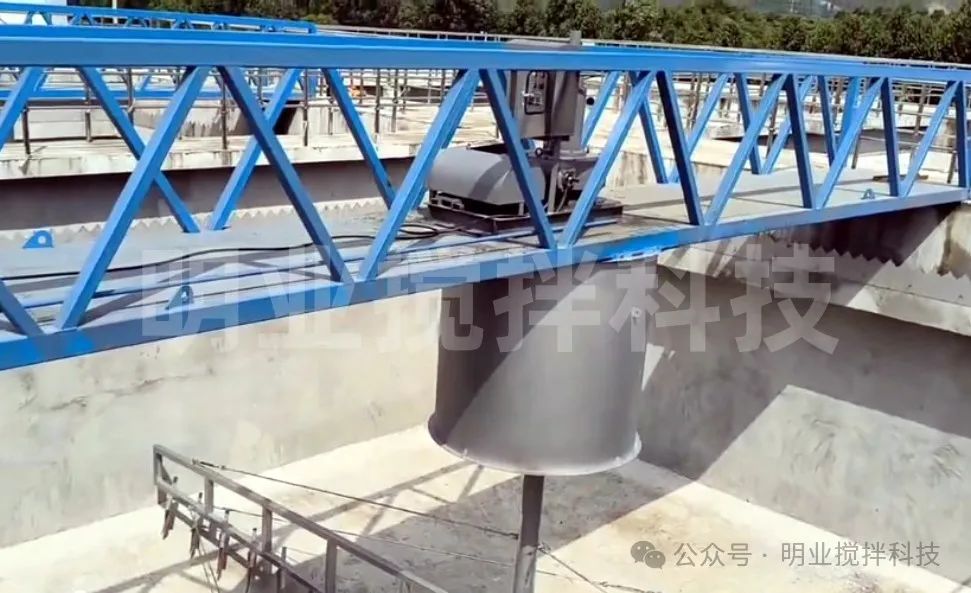 1561741568315131.jpg 微信圖片_20250310085819.jpg